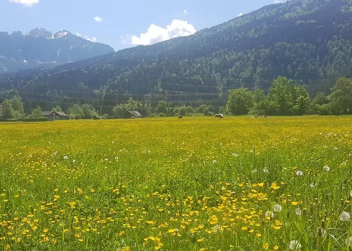 Inrefrid Lejlighed *